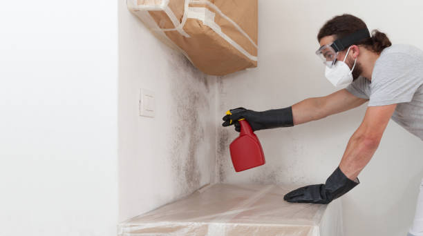 Professional Basement Mold Removal technician working in Kenvil, NJ